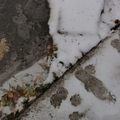 20101204 163445